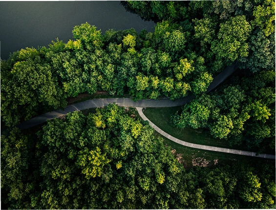 绿色运营与环境管理