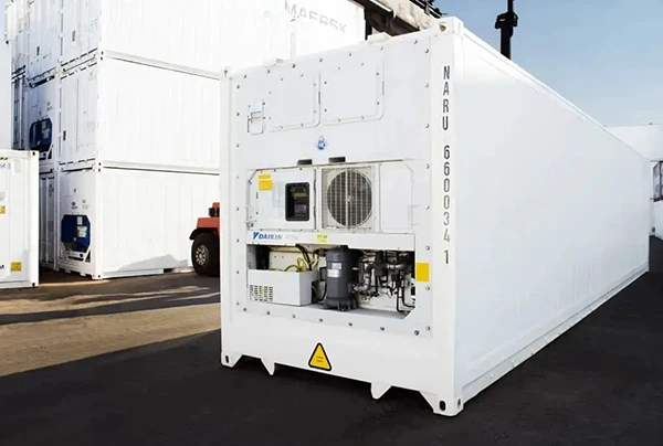 精密温控物流：通过先进冷藏解决方案确保完整性