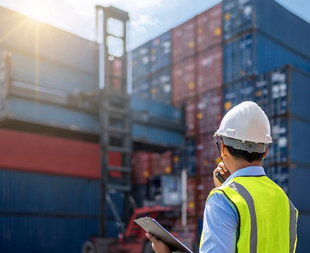 海关清关与合规